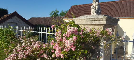 exterieur