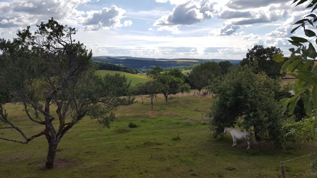 Vue Campagne