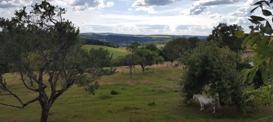Vue Campagne